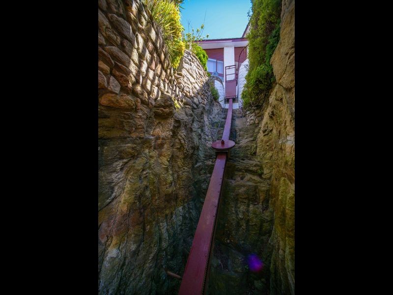 20 Riverview Road, Earlwood NSW 2206