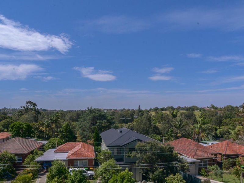 20 Riverview Road, Earlwood NSW 2206