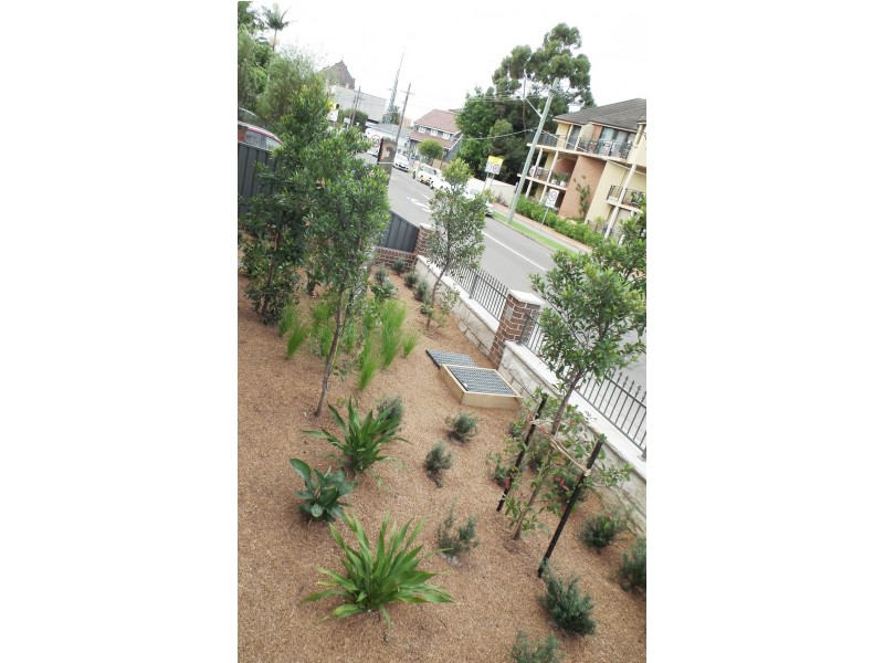 37 Watkin Street, Rockdale NSW 2216