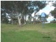 31 Junee crescent, Kingsgrove NSW 2208