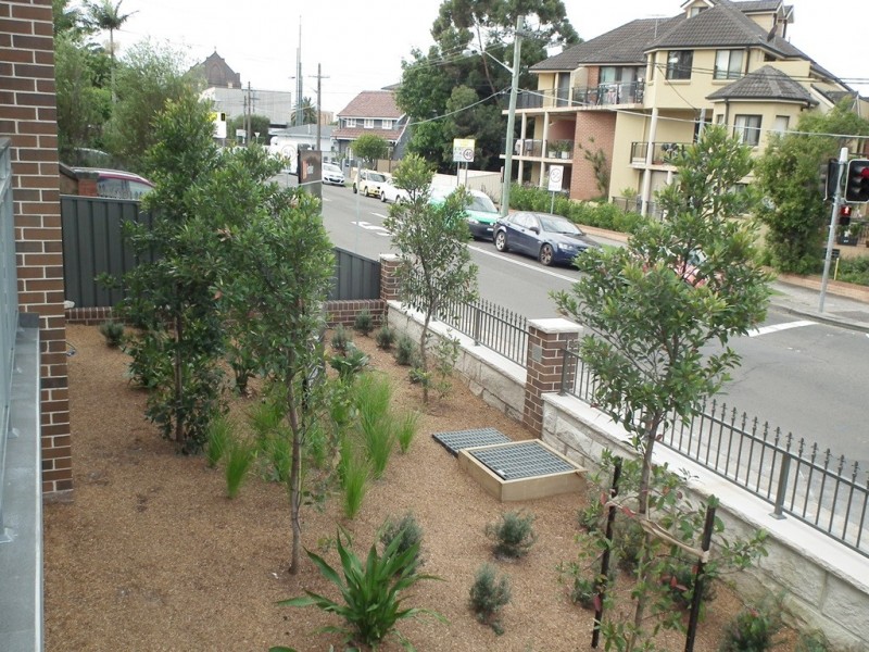 37 Watkin Street, Rockdale NSW 2216