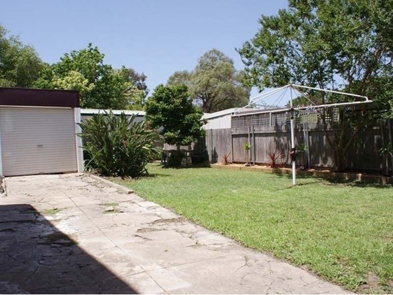 11 Downey Street, Bexley NSW 2207