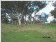 31 Junee crescent, Kingsgrove NSW 2208