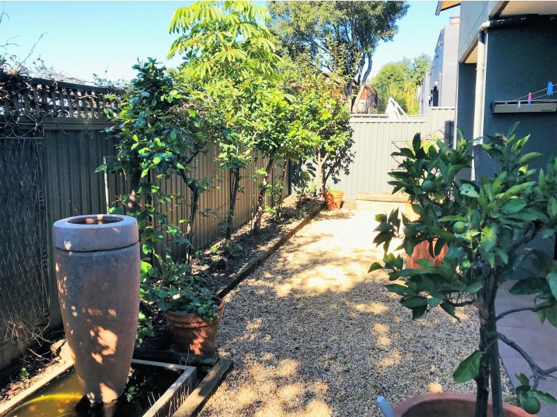 3B Undercliffe Lane, Earlwood NSW 2206