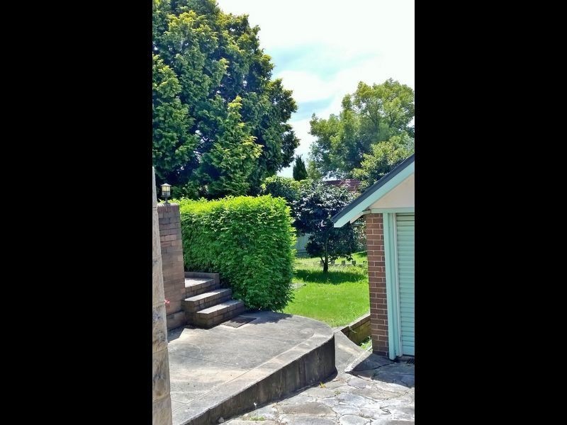 123 Prince Edward Avenue, Earlwood NSW 2206