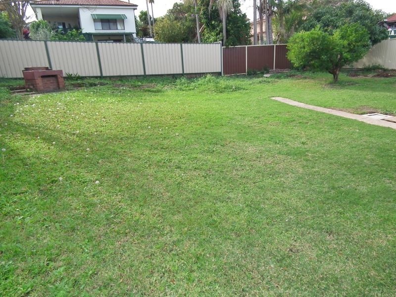 23 Carrisbrook Avenue, Punchbowl NSW 2196