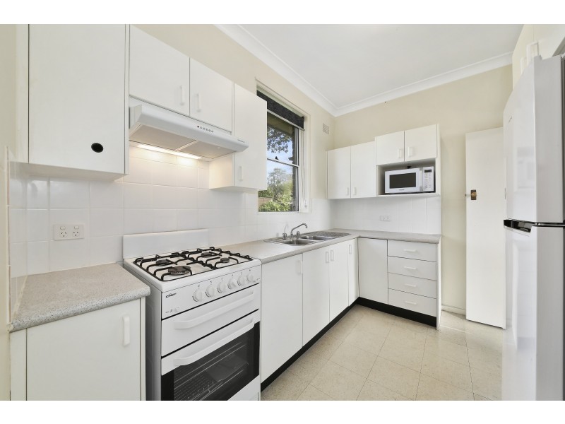 41 Lynesta Avenue, Bexley North NSW 2207