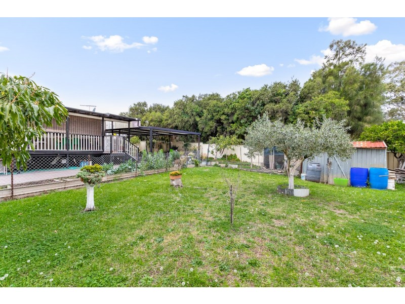 135 Kingsgrove Road, Kingsgrove NSW 2208