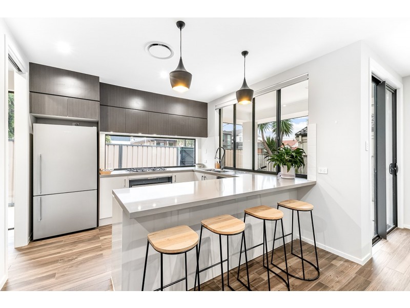 55 Hamilton Avenue, Earlwood NSW 2206