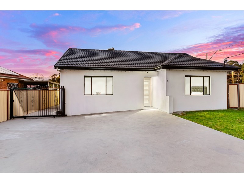 3 Dunlop Street, Roselands NSW 2196