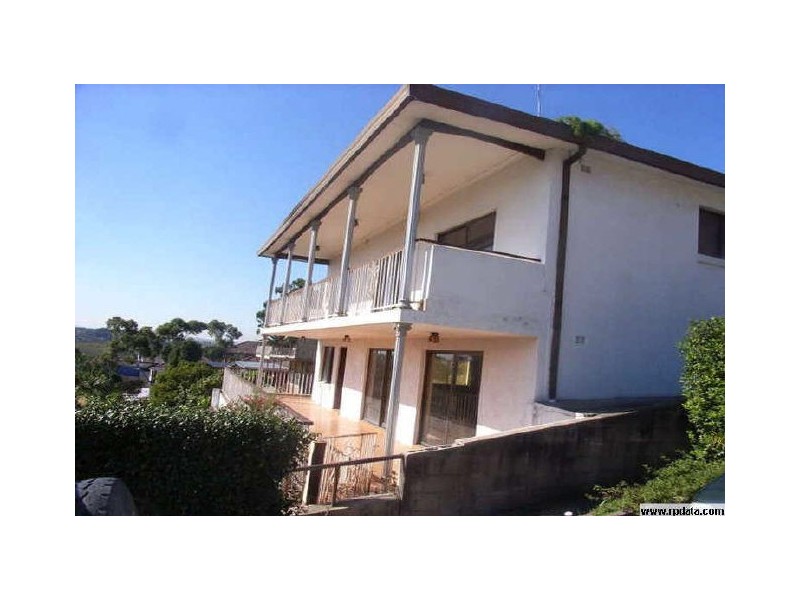 81 Homer Street, Earlwood NSW 2206