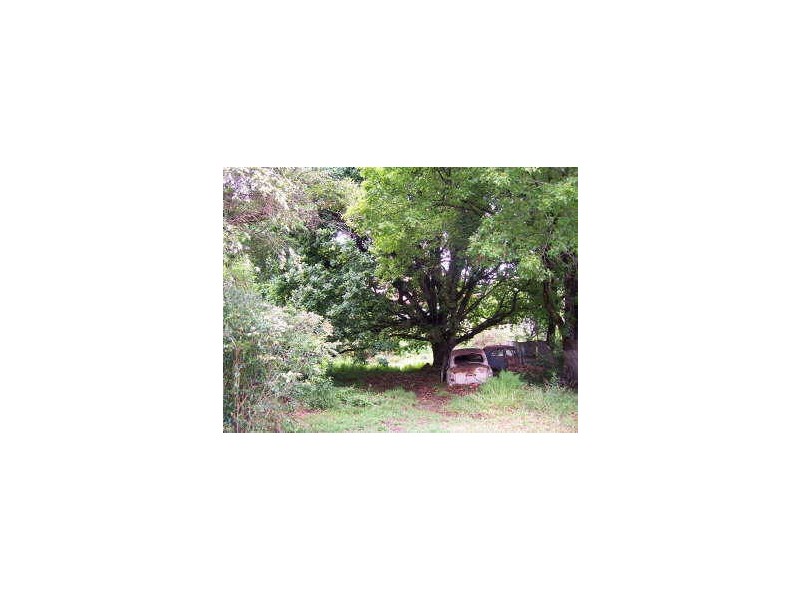 6 Bass Road, Earlwood NSW 2206