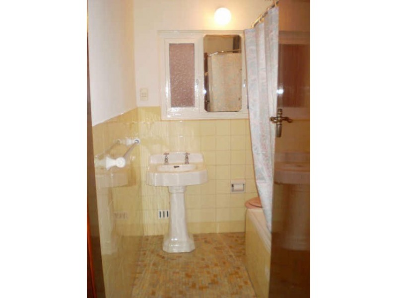 33 Nelson Rd, Earlwood NSW 2206