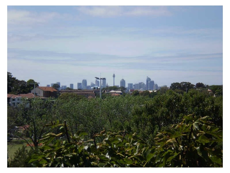 43 Homer Street, Earlwood NSW 2206