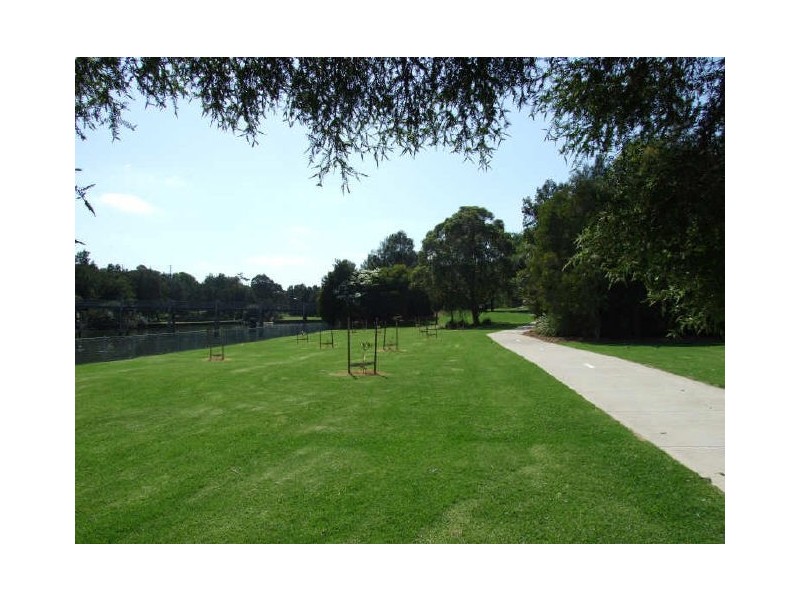 17 Gornall Ave, Earlwood NSW 2206