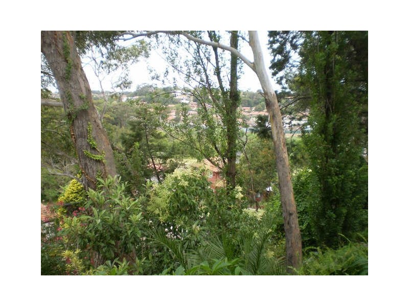 9A Sunset Place, Earlwood NSW 2206