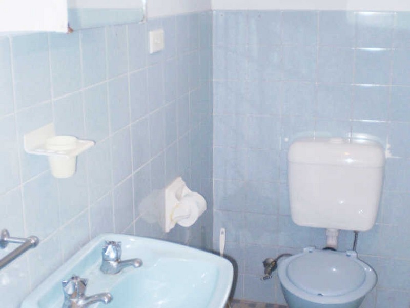 49a Banks Road, Earlwood NSW 2206