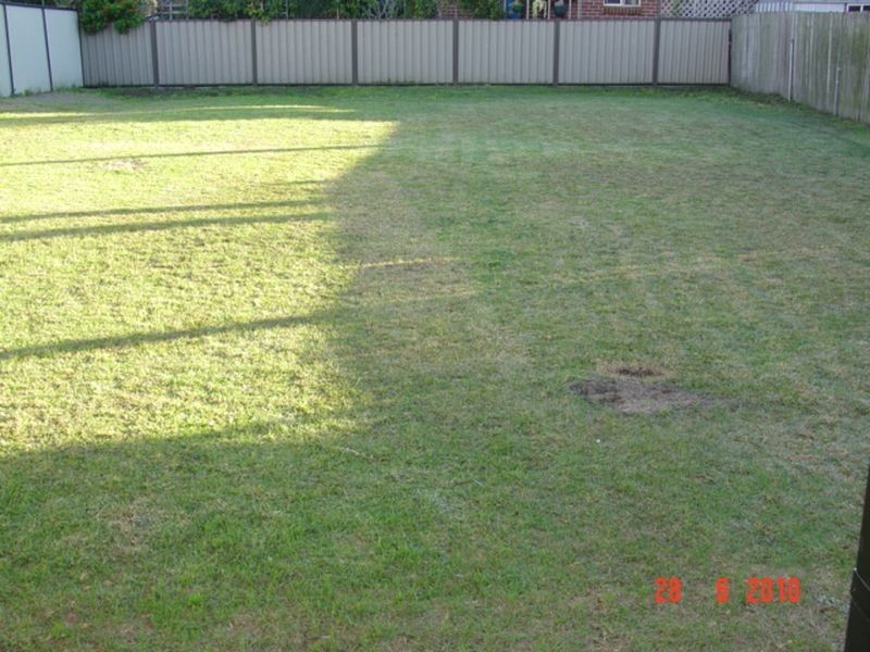 105 Remly Street, Roselands NSW 2196