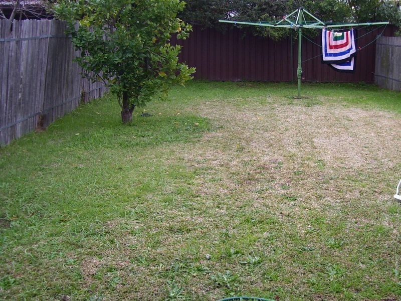 53a Earlwood Avenue, Earlwood NSW 2206