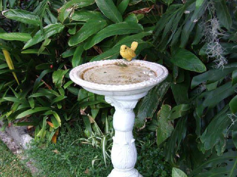 3 Narani Crescent, Earlwood NSW 2206