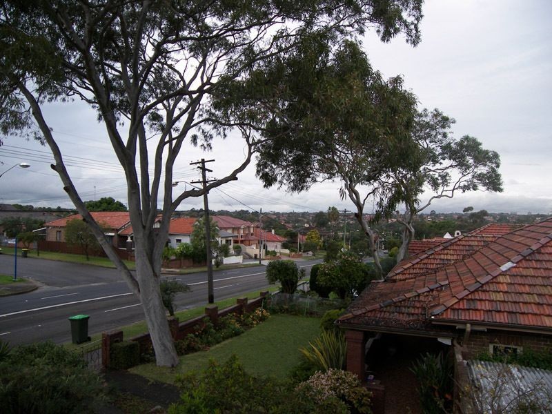 195 Bexley Road, Kingsgrove NSW 2208