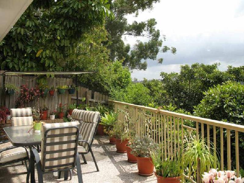 43 Homer Street, Earlwood NSW 2206