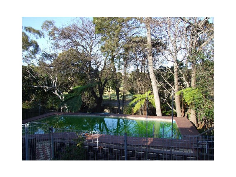 30 Pheasant Street, Canterbury NSW 2193