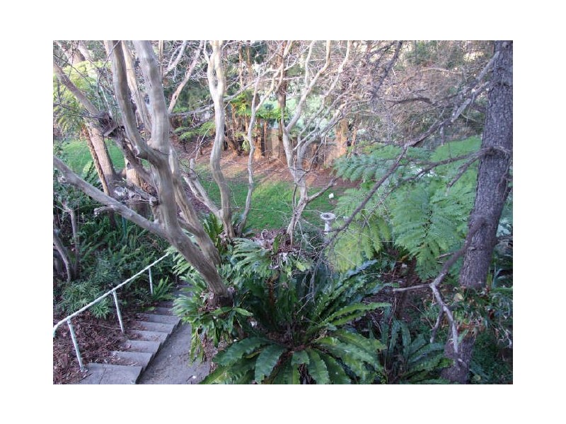 30 Pheasant Street, Canterbury NSW 2193