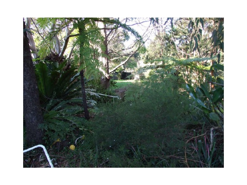 30 Pheasant Street, Canterbury NSW 2193