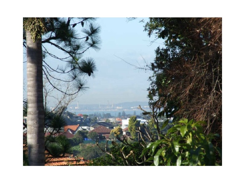 84 Bayview Avenue, Earlwood NSW 2206