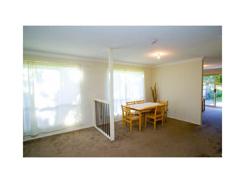 15 Barnes Avenue, Earlwood NSW 2206