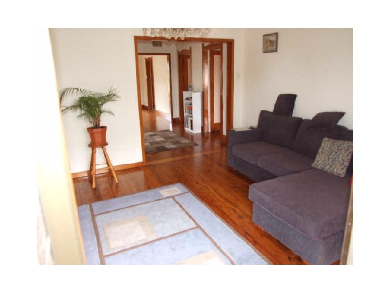 52 Prince Edward Avenue, Earlwood NSW 2206