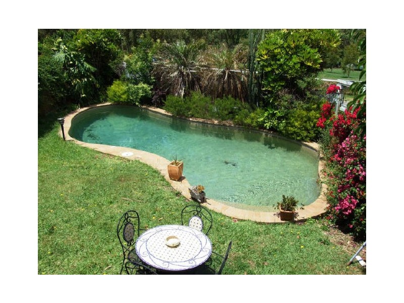 2 Wolli Avenue, Earlwood NSW 2206