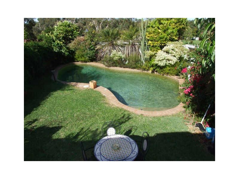 2 Wolli Avenue, Earlwood NSW 2206