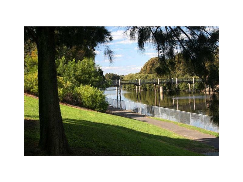 20 Close Street, Canterbury NSW 2193