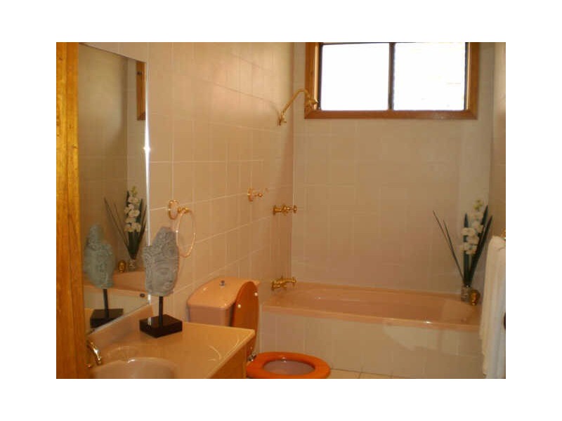 10 Barnes Avenue, Earlwood NSW 2206