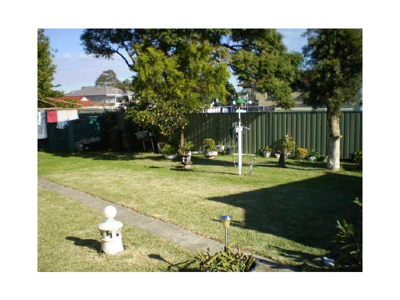 6 Wearne Street, Canterbury NSW 2193