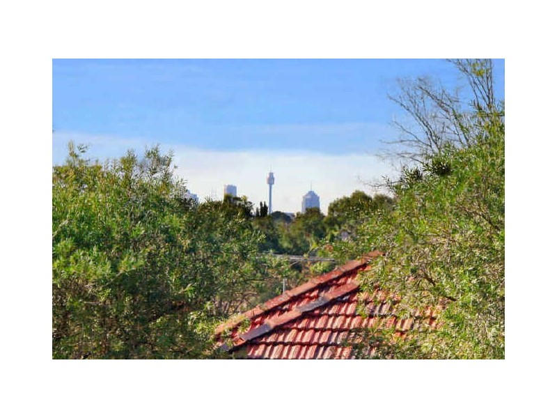 19 Dellwood Avenue, Earlwood NSW 2206