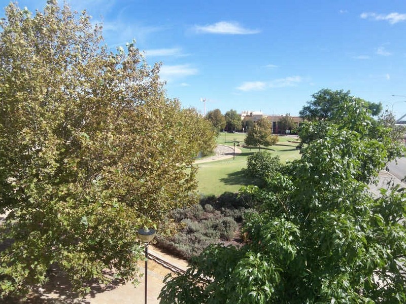 7/82 Royal Street, East Perth WA 6004