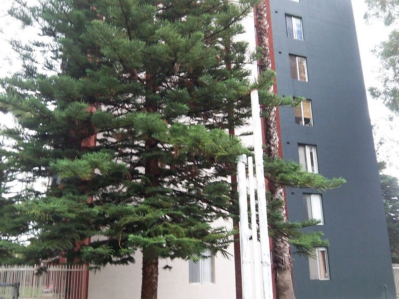 77/12 Tenth Avenue, Maylands WA 6051