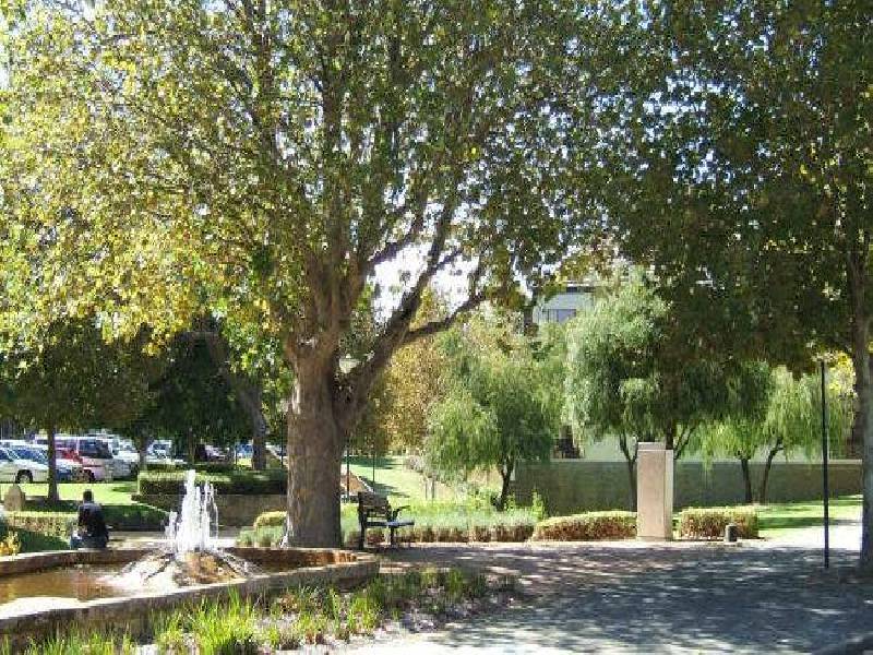 5/131 Royal Street, East Perth WA 6004