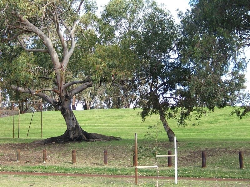 70 Jackson Avenue, Karrinyup WA 6018