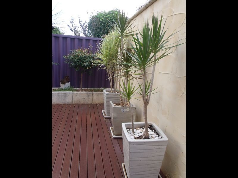 3A Paddington Street, North Perth WA 6006
