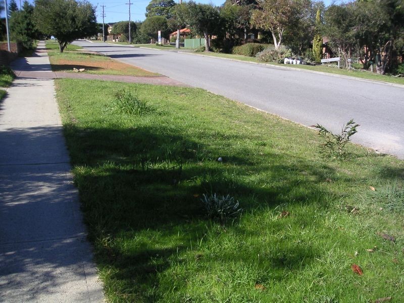 102 Waterloo Street, Tuart Hill WA 6060