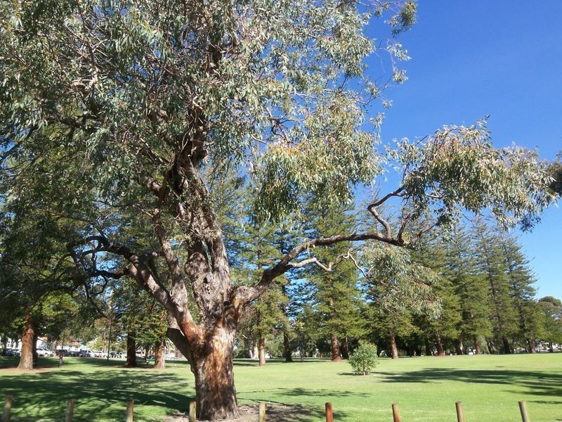 25/100 Subiaco Road, Subiaco WA 6008