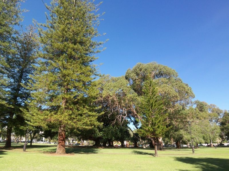 25/100 Subiaco Road, Subiaco WA 6008