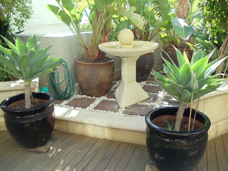 63/47 Forrest Avenue, East Perth WA 6004