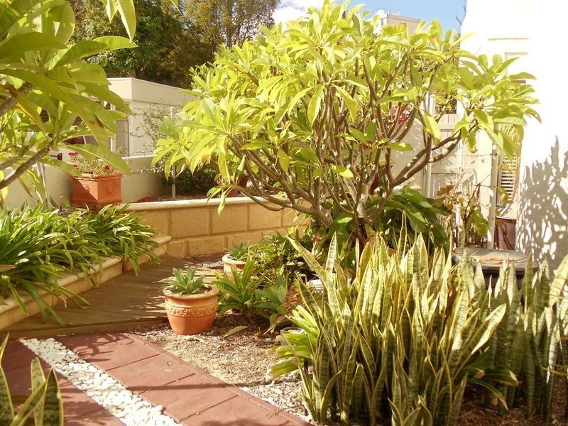 63/47 Forrest Avenue, East Perth WA 6004