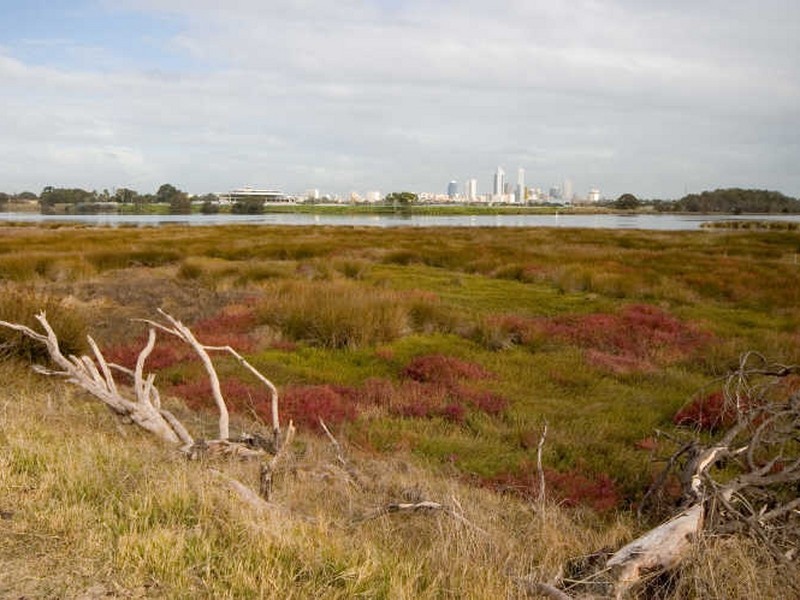 9/61-63 Tranby Road, Maylands WA 6051