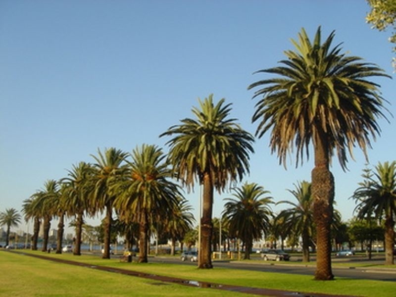 21/2A Goderich Street, East Perth WA 6004